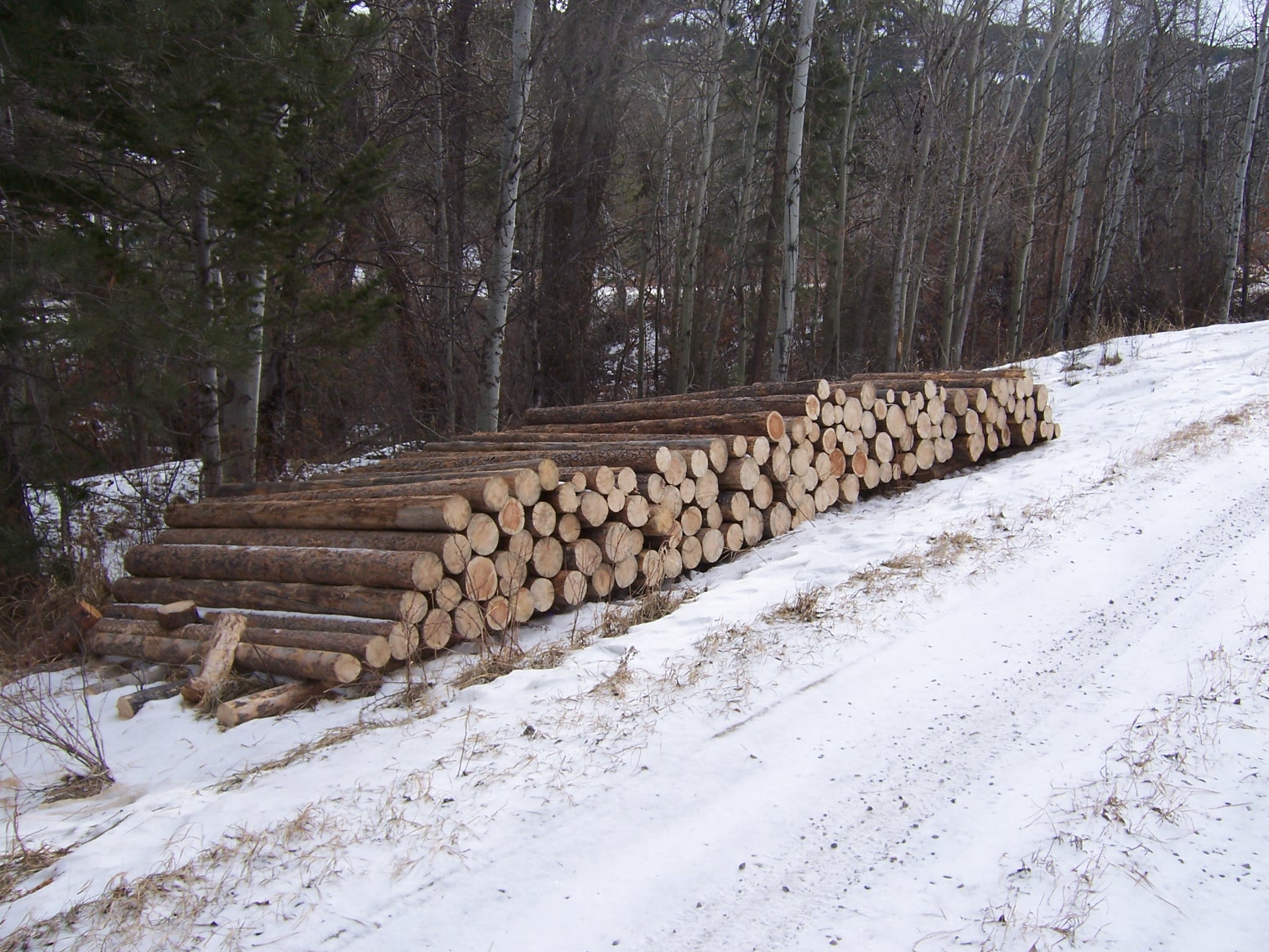 Storing log sections properly?