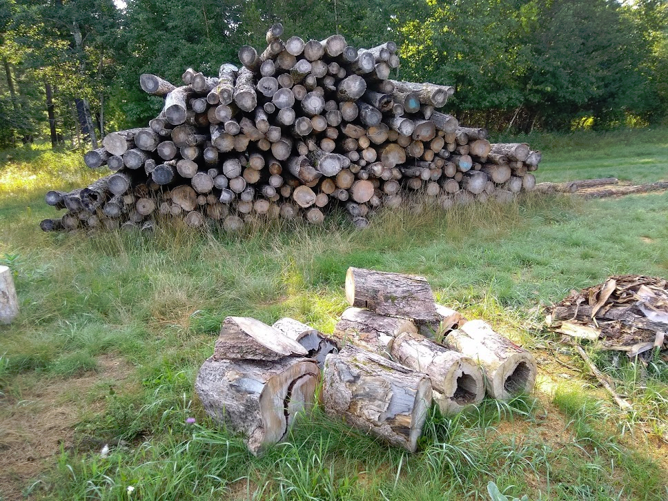 Ordered a Semi-load of Logs