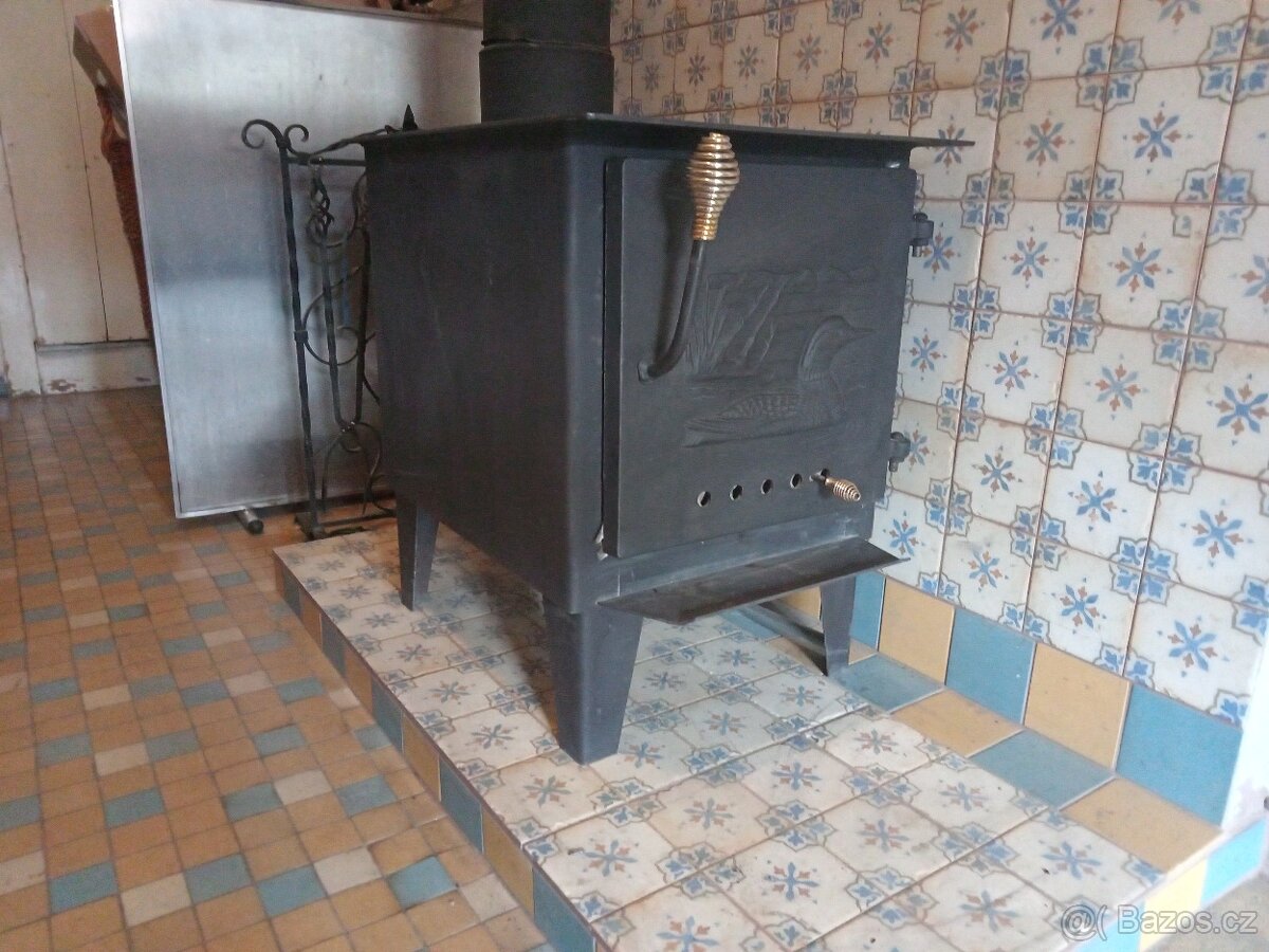 Do you know this model of CFM Wood Stove?