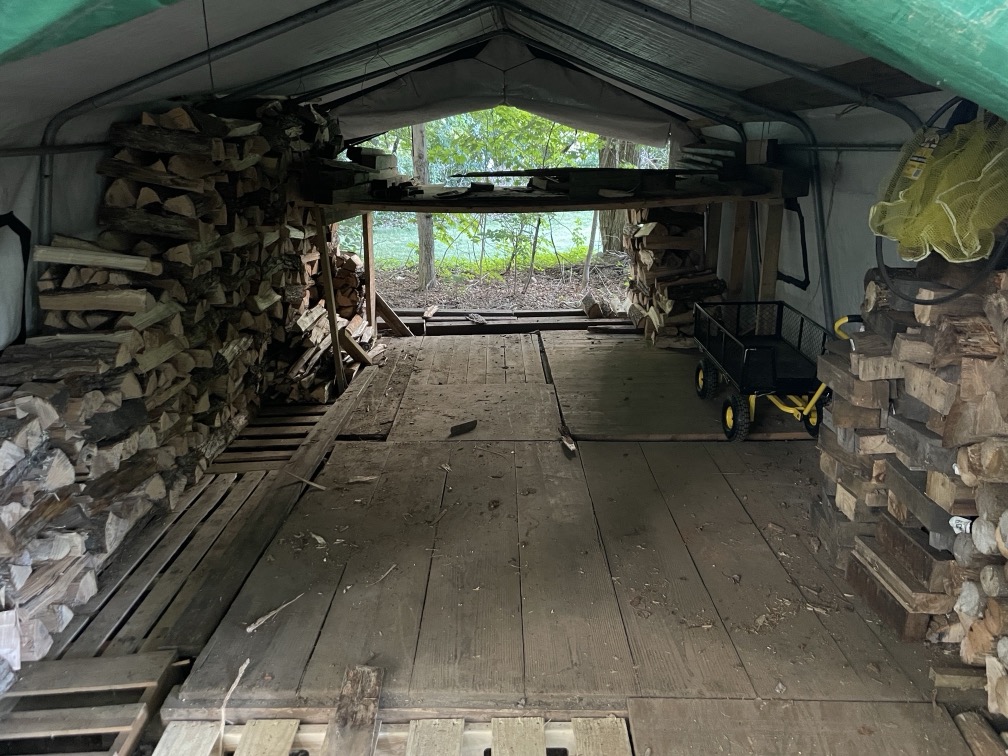 Treating wood shed floor and walls from insects?
