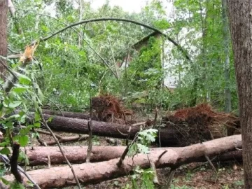 [Hearth.com] Burning Hurricane wood....Hurricane Isabell