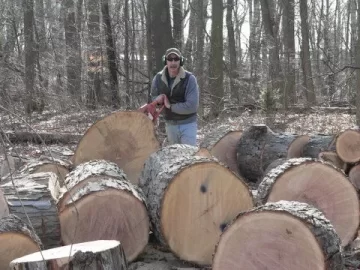 [Hearth.com] Typical day gathering wood