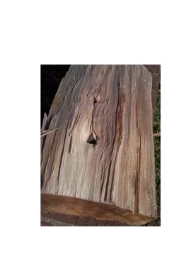 [Hearth.com] Help needed identifying wood @ Woodchopper's Ballroom