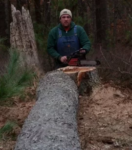 [Hearth.com] Borecutting and dropping big trees