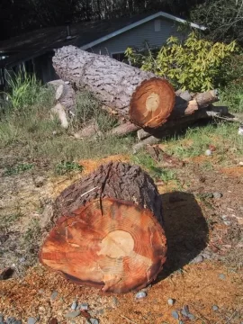 [Hearth.com] Best way to (pre)cut large tree into firewood