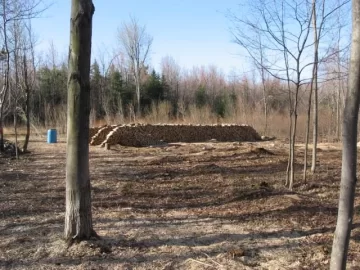 [Hearth.com] Cleared lot and wood piles