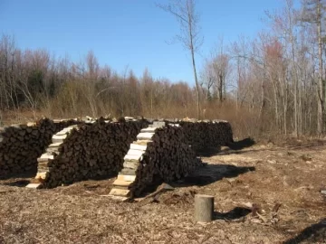 [Hearth.com] Cleared lot and wood piles