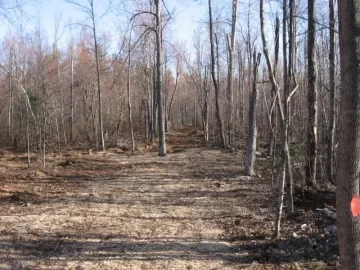 [Hearth.com] Cleared lot and wood piles