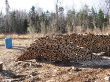 [Hearth.com] Cleared lot and wood piles