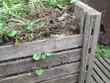 [Hearth.com] compost pile