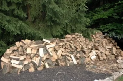 [Hearth.com] my wood pile so far ;-)