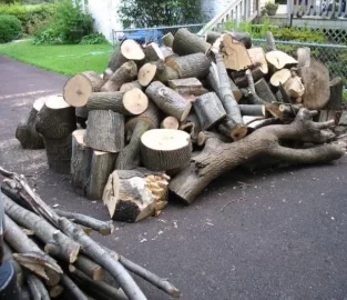 [Hearth.com] Pictures of my woodpile from one days work...