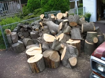 [Hearth.com] Pictures of my woodpile from one days work...