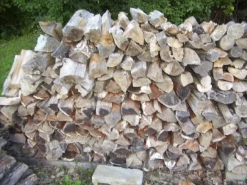 [Hearth.com] My WoodPile & Wood Scrounge Finds / Help with Tree ID