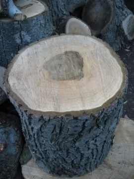 [Hearth.com] Another what tree is this post?