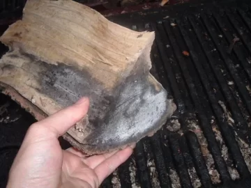 [Hearth.com] mold on firewood