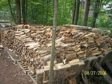 [Hearth.com] How is your wood pile doing?