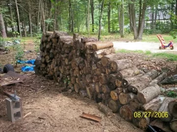 [Hearth.com] How is your wood pile doing?