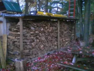 [Hearth.com] Wood stack and shed thing