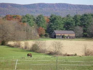 [Hearth.com] Fall Pictures - almost over in New England