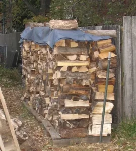 [Hearth.com] My woodpile so far...