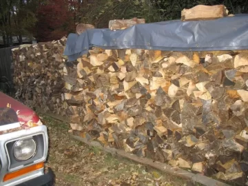 [Hearth.com] My woodpile so far...