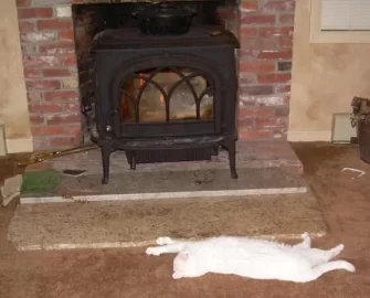 [Hearth.com] Cat in front of a nice warm fire.