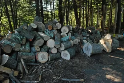 [Hearth.com] Labor day weekend WoodButcher'in