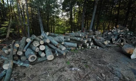 [Hearth.com] Labor day weekend WoodButcher'in