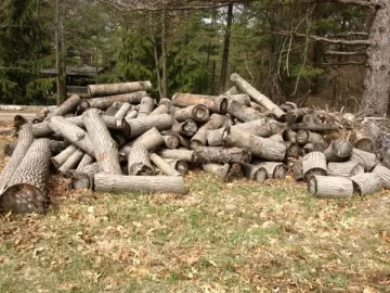 [Hearth.com] Nice Pile of free wood, LAKE ORION,Mi