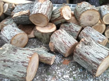 [Hearth.com] Name this wood: Does it go in 2 year or 3 year pile?