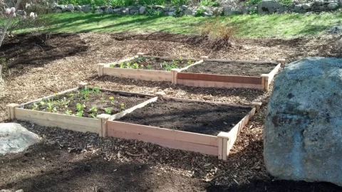 [Hearth.com] Garden reports where you at and whats next?