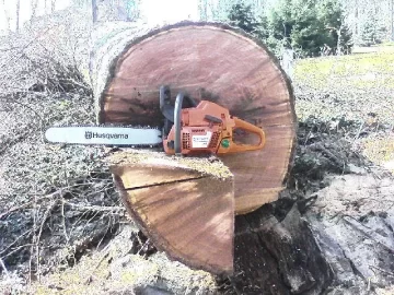 [Hearth.com] Let's see some chainsaw pics