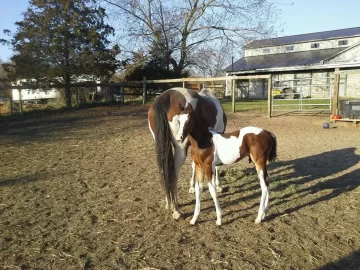 [Hearth.com] Spring Time Equals New Baby Time