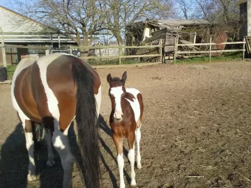 [Hearth.com] Spring Time Equals New Baby Time