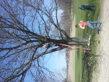 [Hearth.com] mmmmm.....honey locust