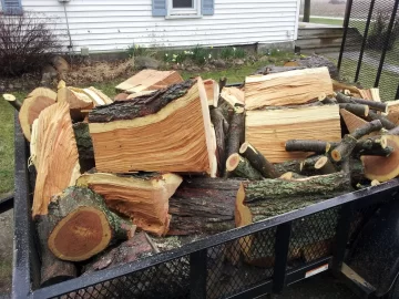 [Hearth.com] mmmmm.....honey locust