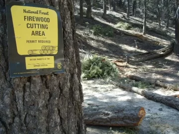 [Hearth.com] Scoping wood in Big Bear & new saw coming soon! m-tronic