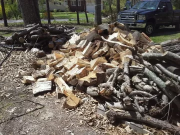 [Hearth.com] I Love My Firewood Guy !!!