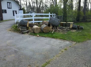 [Hearth.com] Great scrounge, big Oak and some nice pieces of ash,Lotsa Pictures !!!