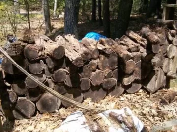 [Hearth.com] Cordwood should be cheap!