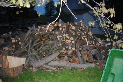 [Hearth.com] Free Maple Firewood Oakland County MI