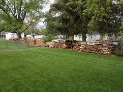 Wood stack progress