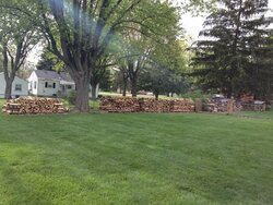 Wood stack progress