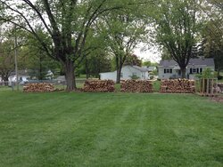 Wood stack progress