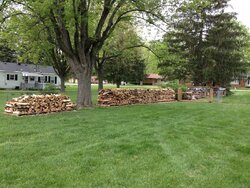 Wood stack progress