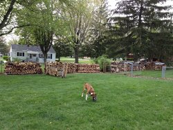 Wood stack progress