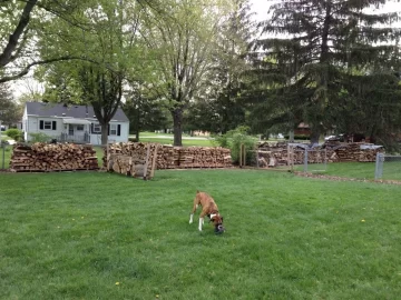 [Hearth.com] Wood stack progress