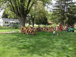 Wood stack progress