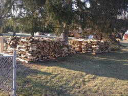 Wood stack progress